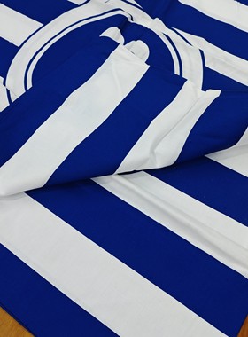 X115 蓝色条纹靠垫套一对 60cm