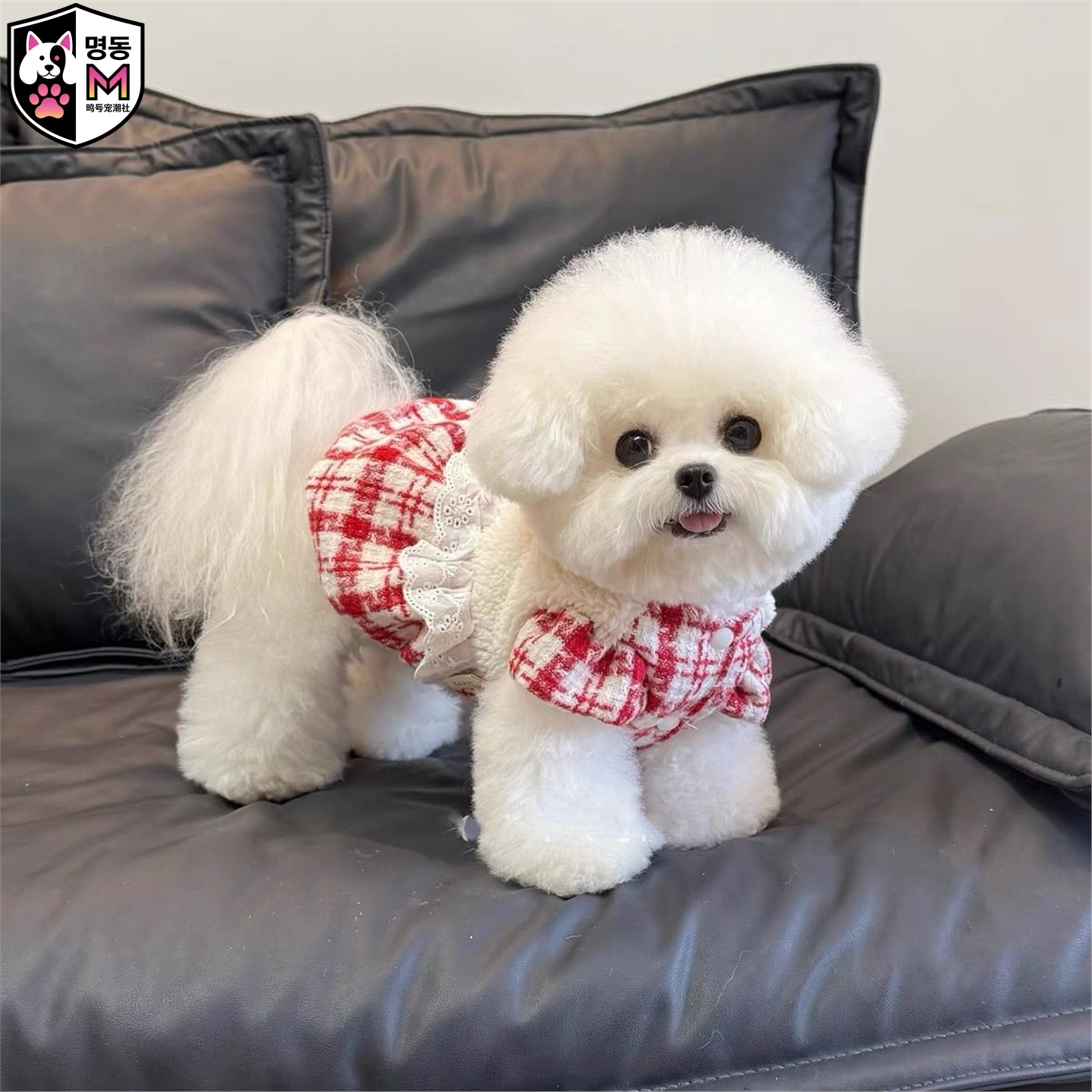 明洞秋冬小香风加绒狗狗南瓜裙