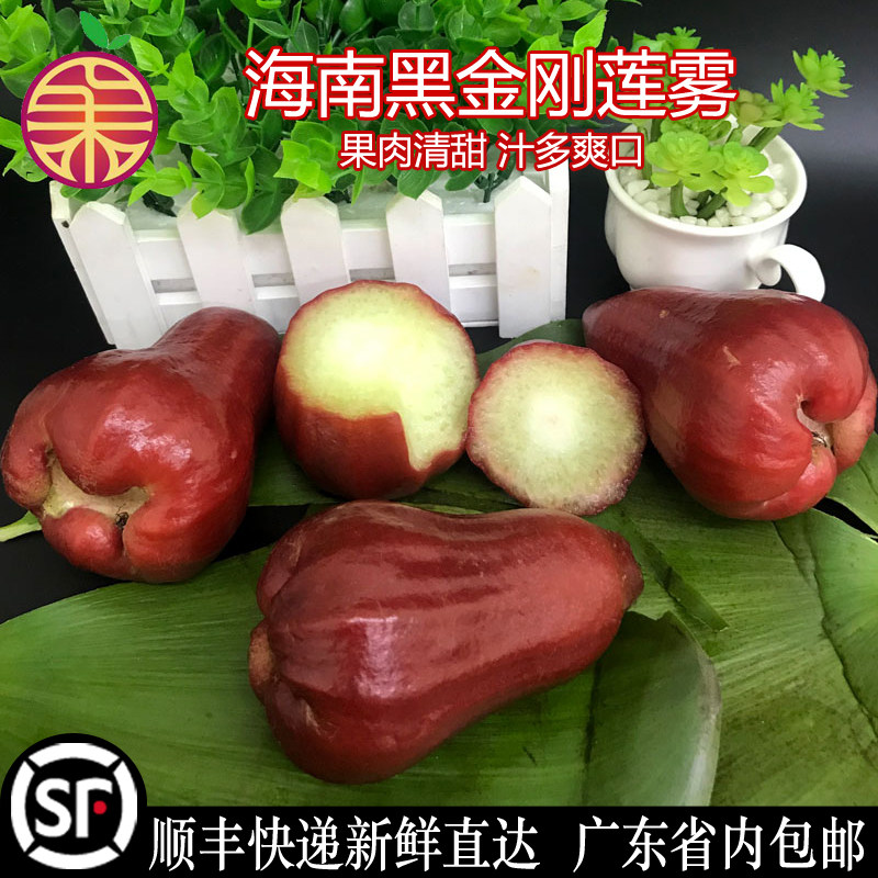 黑金刚莲雾新鲜海南特产莲雾应季热带当季孕妇水果3斤顺丰包邮,水产肉类/新鲜蔬果/熟食,莲雾,淘宝优惠券,粉丝福利购,淘宝优惠卷