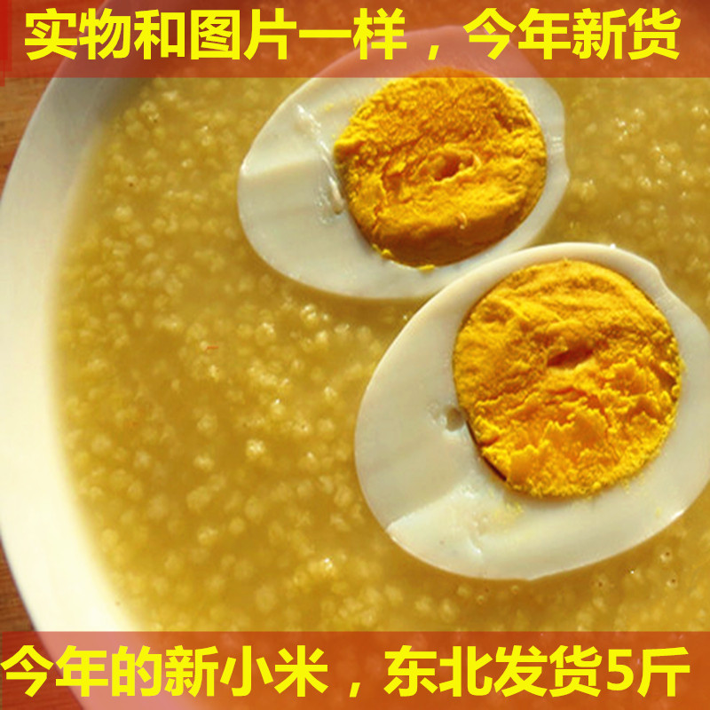 正宗东北红谷小米今年新碾农家自种小黄米赛山西沁州黄小米5斤