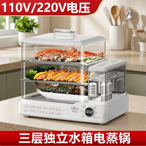 110V出口电蒸锅不锈钢外置水箱智能预约定时小型多功能大容量蒸箱