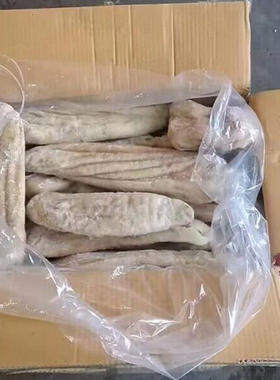 深海鲨鱼肚整个鲜鱼胃鱼胶海八珍