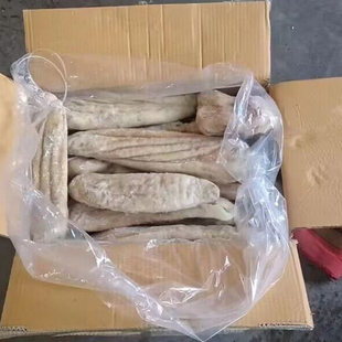 深海鲨鱼肚新鲜海鱼肚低脂高蛋白鲨鱼胃鱼胶海八珍之一珍稀海中鲜