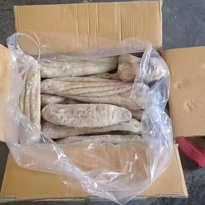 深海鲨鱼肚整个鲜鱼胃鱼胶海八珍