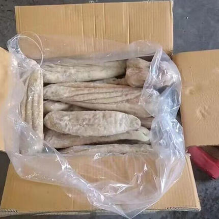 深海鲨鱼肚新鲜海鱼肚低脂高蛋白鲨鱼胃鱼胶海八珍之一珍稀海中鲜