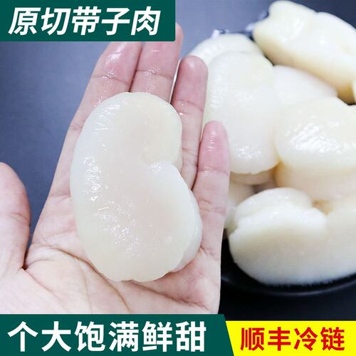 超大号野生瑶柱刺身江瑶贝鲜带子