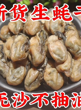 广东湛江大生蚝干货牡蛎干新货无盐新鲜淡晒干特大号海蛎干不抽油