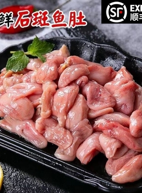 现杀石斑鱼肚巴沙鱼肚鱼鳔鱼泡鱼杂鱼胶花胶脆肚鱼肚餐饮食材Q弹