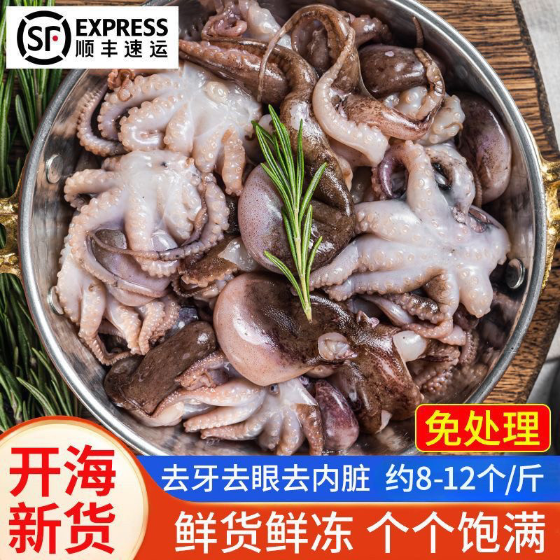 盐磨八爪鱼海鲜鲜活水产小章鱼迷你八抓鱼章鱼足短腿大爆头鱿鱼须