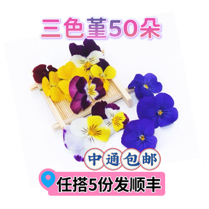 新鲜三色堇50朵花草烘培西餐酒店餐饮装饰点缀鲜花摆盘可食用