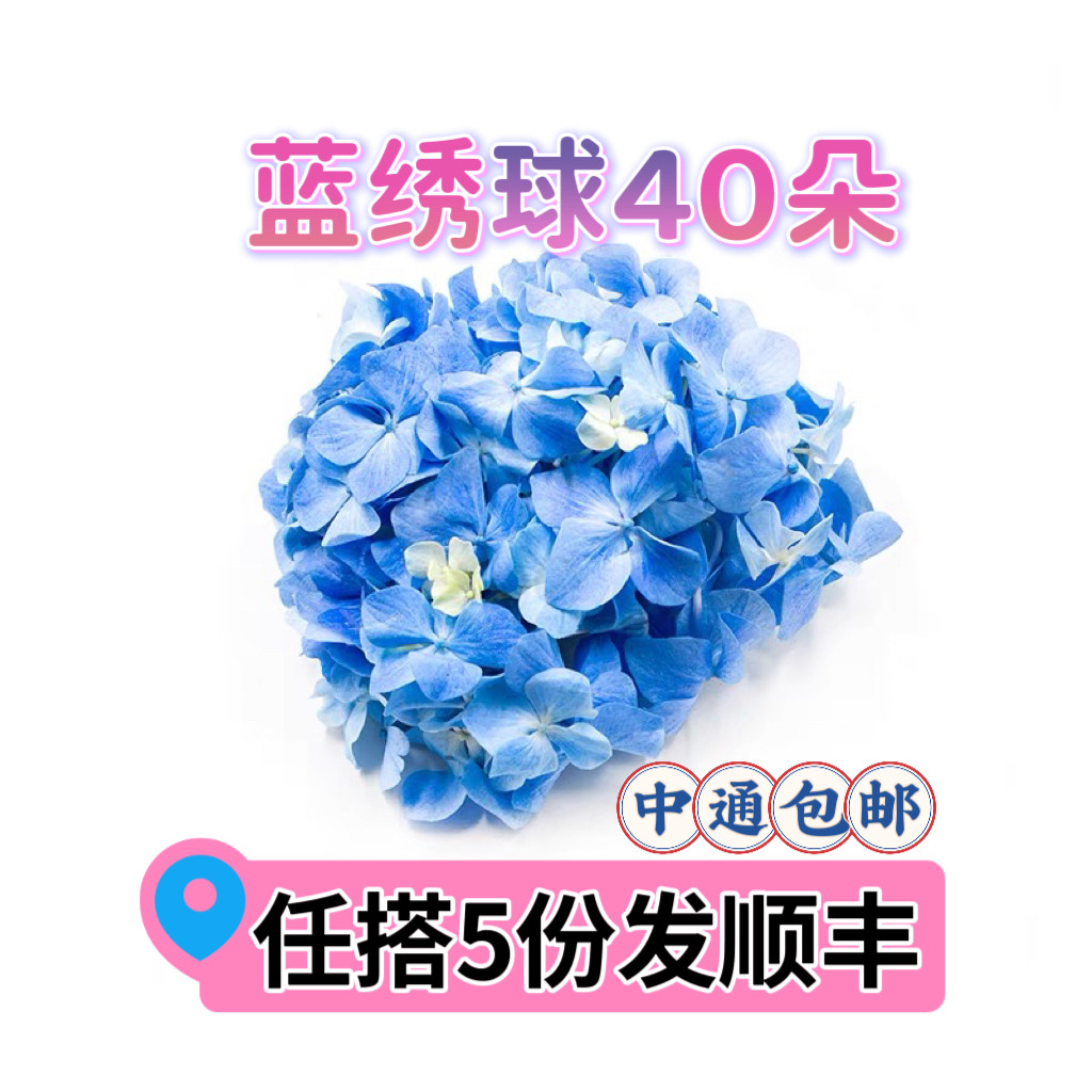 新鲜蓝色绣球花西餐料理酒店冷盘摆盘装饰花草