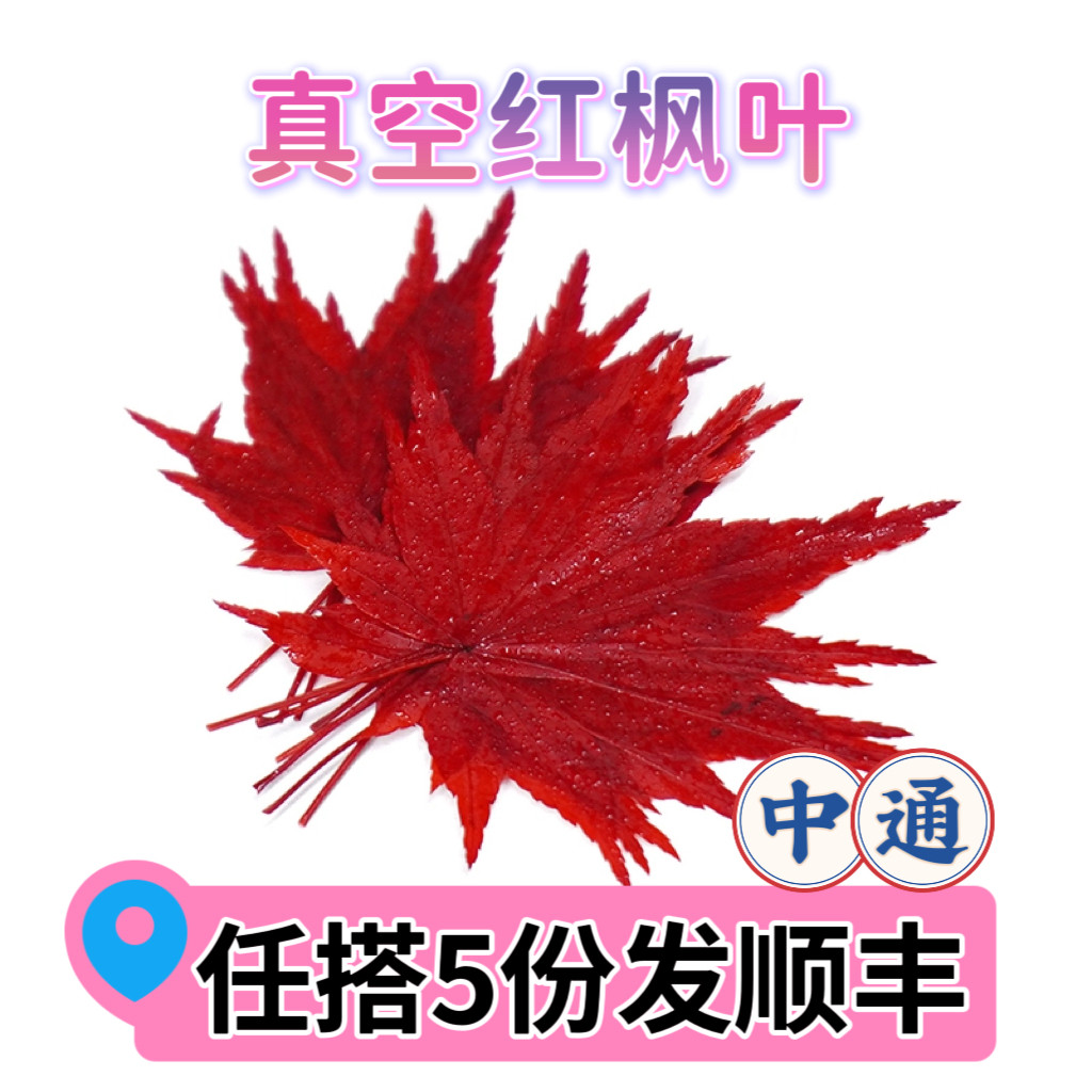 盐渍红枫叶西餐日料摆盘装饰