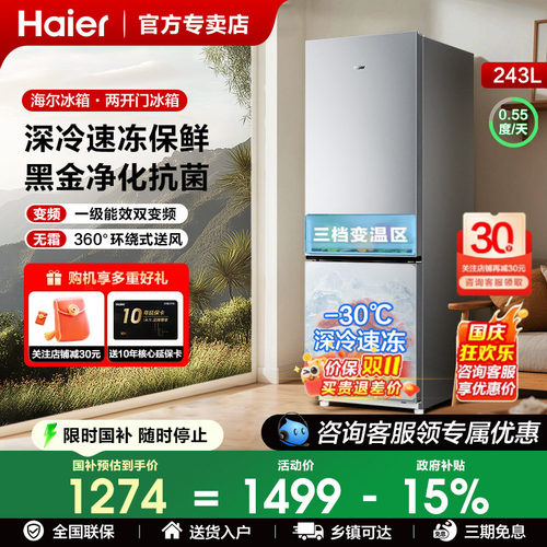 海尔两门243/226L家用租房冰箱
