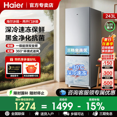 海尔两门243/226L家用租房冰箱