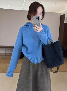 高级感克莱因蓝色连帽针织加厚毛衣女秋冬超好看慵懒宽松套头上衣