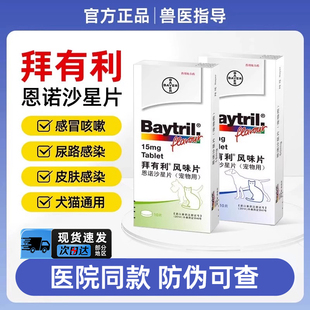 拜有利恩诺沙星猫用风味片狗狗尿路感染消炎猫鼻支猫咪消炎药感冒