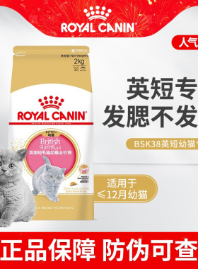皇家英短幼猫专用粮BSK38奶猫营养增肥发腮蓝猫宠物奶糕全价粮2kg