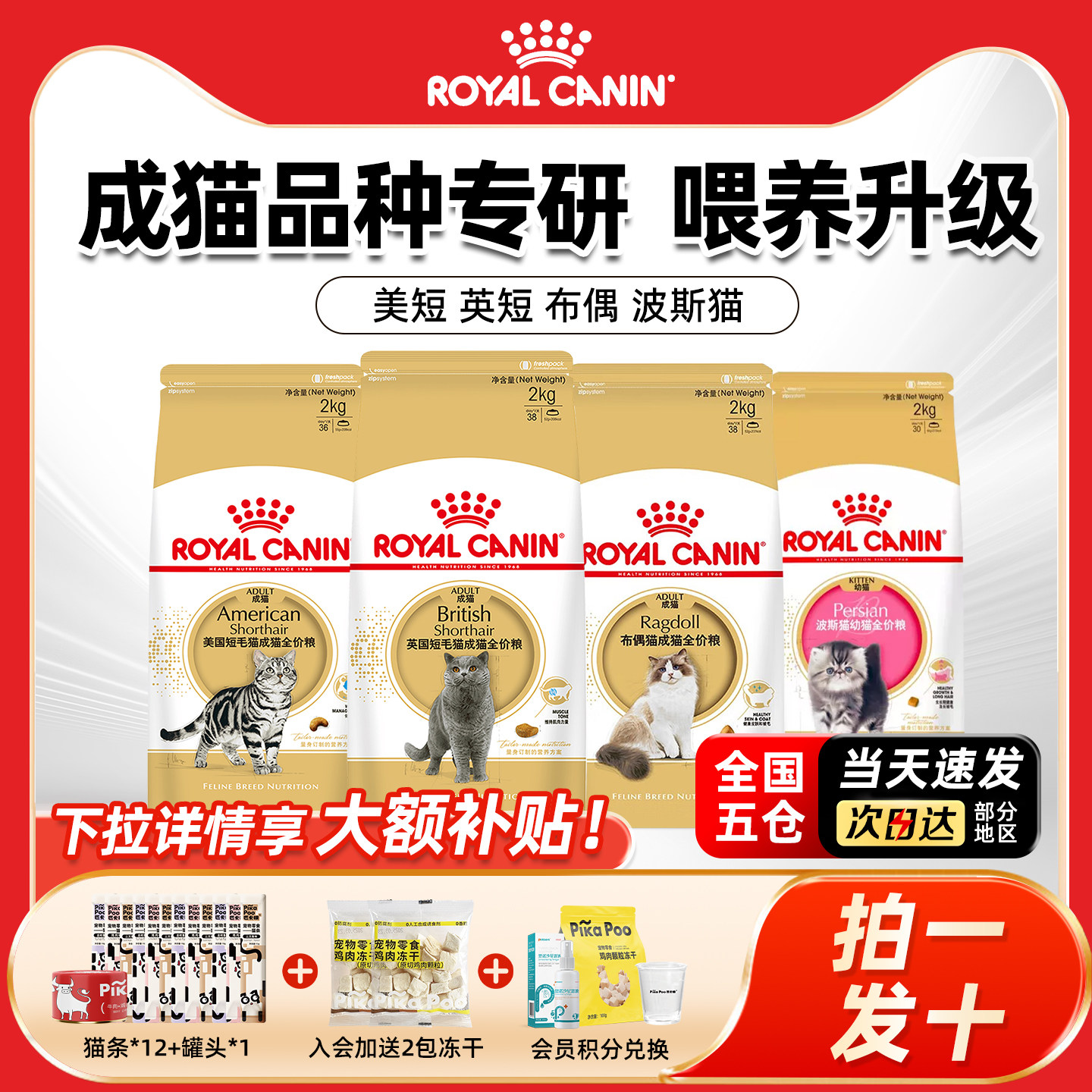 皇家猫粮BS34英国短毛成幼猫蓝猫全价专用美短布偶波斯英短猫粮