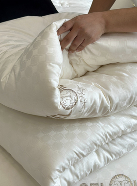 高配版超能60s本木cel丽莎提花大豆被冬被被子被芯春秋被四季通用