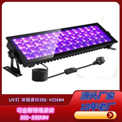跨境LED紫光泛光灯UV投光灯户外防水IP66万圣节鬼屋荧光壁画395nm