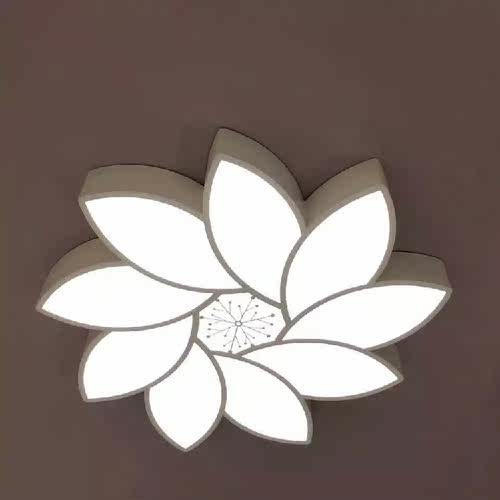 正品和丰8570小圆50cm双色吸顶