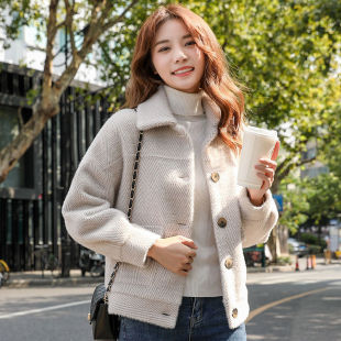 2025春秋款女装仿水貂绒短款外套女小个子上衣韩版百搭黄金貂外套