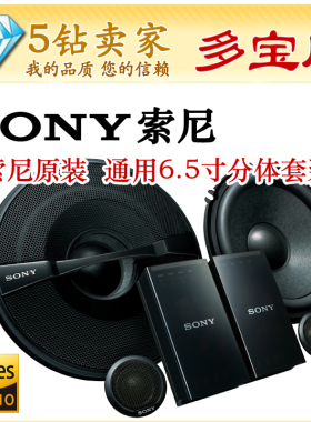 XS-GS1621C索尼DSD无损播放器RSX-GS9专用配搭发烧级分体喇叭套装