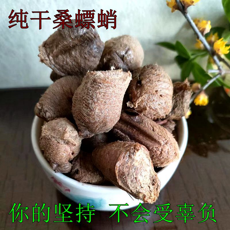 中药材桑螵蛸同  堂原料熟桑螵蛸干生桑螵蛸螳螂子刀螂螳螂蛋煮水