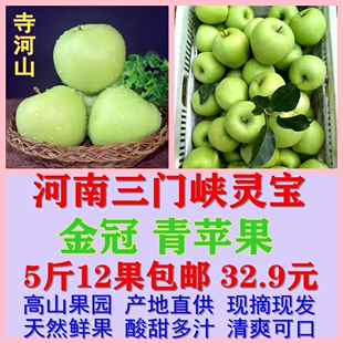 2025河南三门峡灵宝寺河山金冠青苹果酸甜可口新鲜采摘5斤包邮