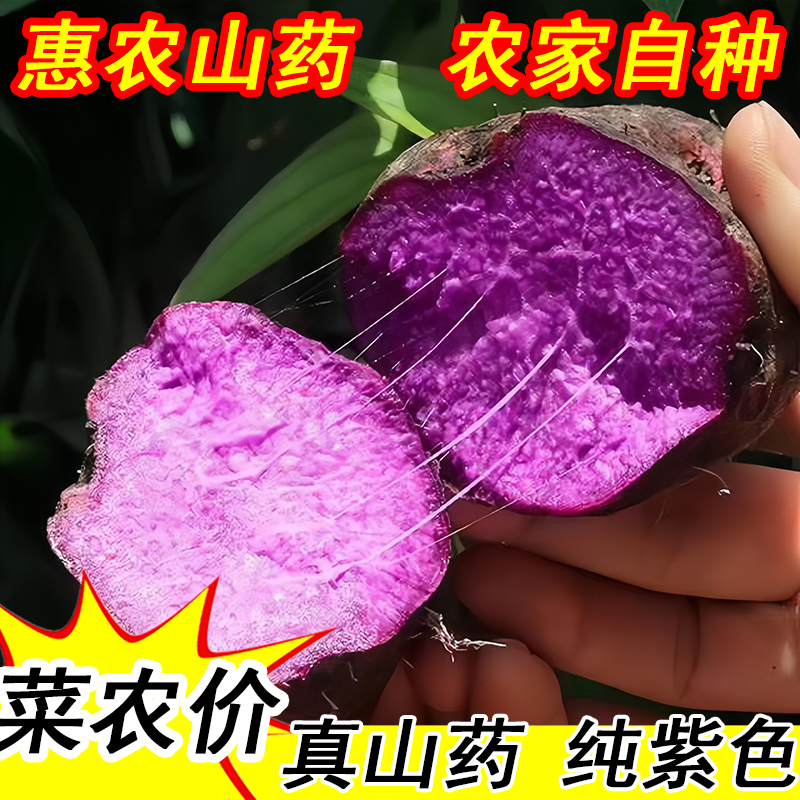 2025赣南紫山药古天根安远脚板薯