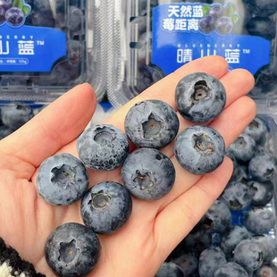 晴山蓝脆甜大蓝莓25L云南高品质蓝莓12盒礼盒顺丰包邮