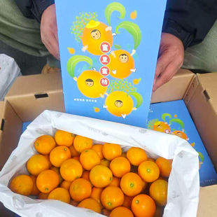 乐拉金桔5A脆蜜金桔第三代顺丰包邮