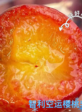 智利空运樱桃李子纯甜多汁当季新鲜水果
