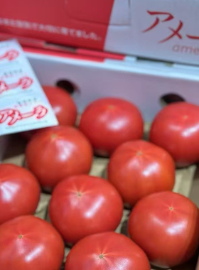 现货静冈品种高糖番茄高糖番茄感动番茄2斤装顺丰包邮