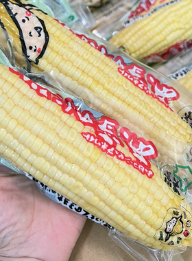 北海道品种水果玉米即食牛奶玉米超嫩甜顺丰包邮