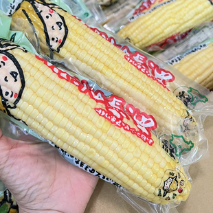 北海道品种水果玉米即食牛奶玉米超嫩甜顺丰包邮