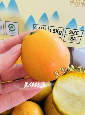 正宗脆蜜金柑5A6A乐拉融安金桔3斤装礼盒顺丰包邮
