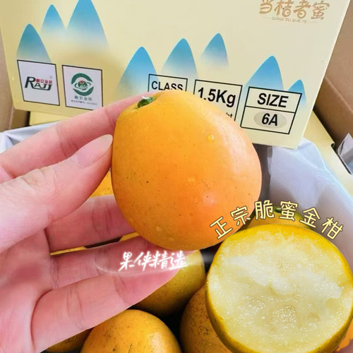 正宗脆蜜金柑5A6A乐拉融安金桔3斤装礼盒顺丰包邮
