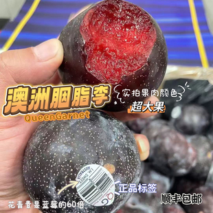 澳洲皇后李胭脂女王李减肥李进口红肉李子顺丰包邮