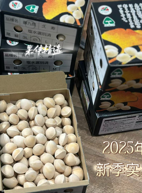 爱知银杏果2L3L白果500g一盒装超大果顺丰包邮