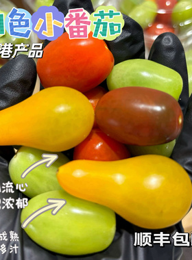 荷兰品种四色小番茄6杯小番茄新鲜番茄顺丰包邮