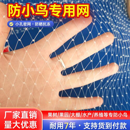 防小鸟专用网小孔密网防晒抗冻防雹网果树果园大棚水产养殖防鸟网
