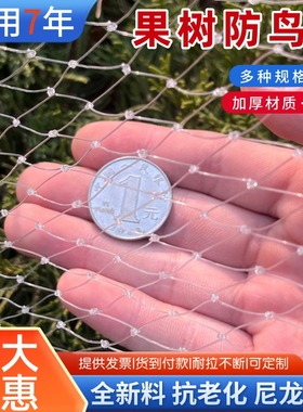 防鸟网尼龙网草莓葡萄樱桃梨树大棚果园防鸟专用网天网果树防鸟罩