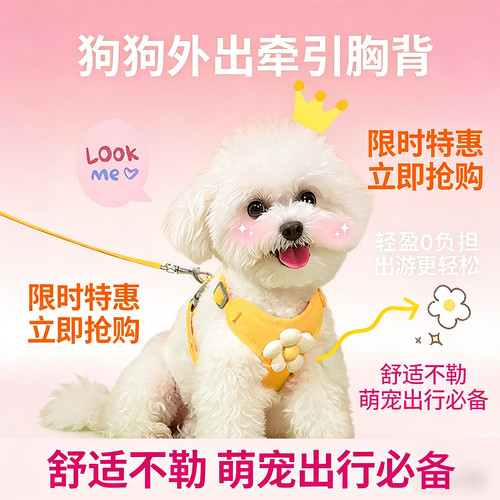 可爱小花设计，遛狗颜值拉满