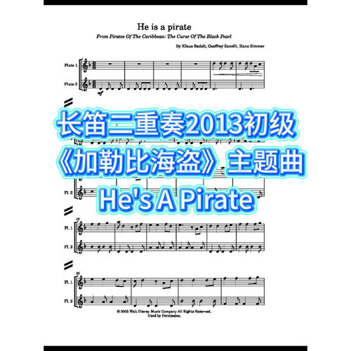 长笛二重奏2013初级《加勒比海盗》主题曲He's A Pirate