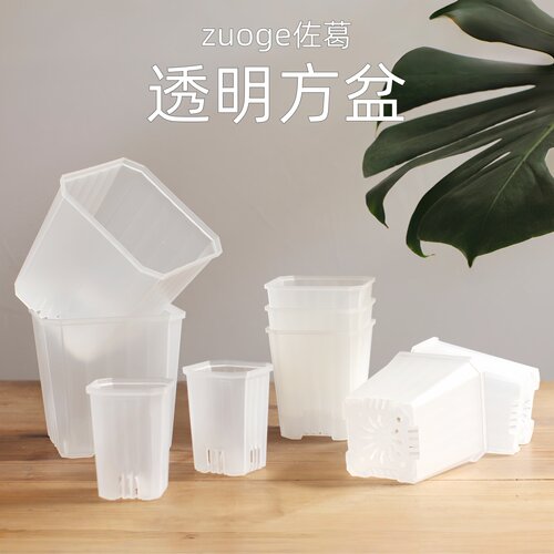 佐葛透明加厚PP多肉控根育苗盆