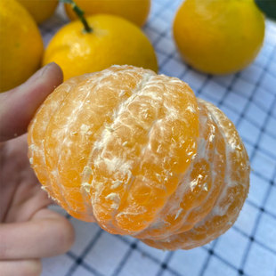正宗福建甜心柚非建阳桔柚甜桔柚整箱纯甜无酸甜橘柚当季汁水充足