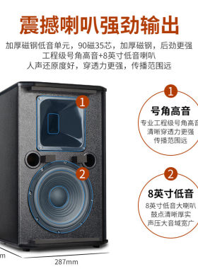 狮乐无线蓝牙定阻功放+壁挂音响