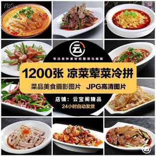 高清美食菜品菜谱JPG图片冷菜凉菜荤菜冷拼设计喷绘打印素材