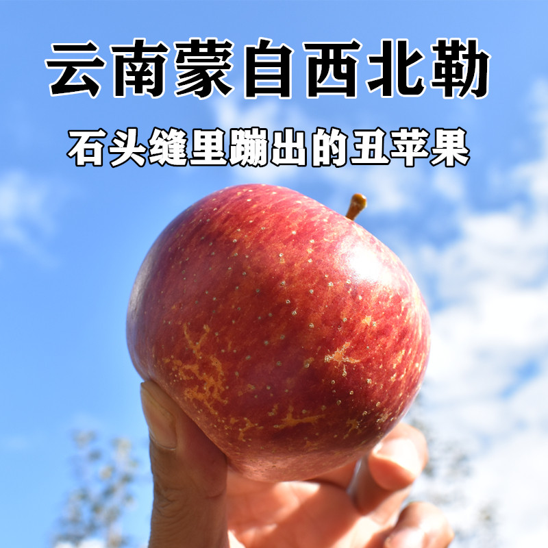 现摘 云南蒙自西北勒苹果山里野苹果冰糖心丑苹果果香浓甜5斤